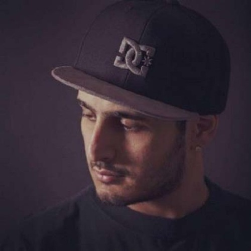 هیپ هاپولوژیست با چه رپرهایی همکاری داشته است؟